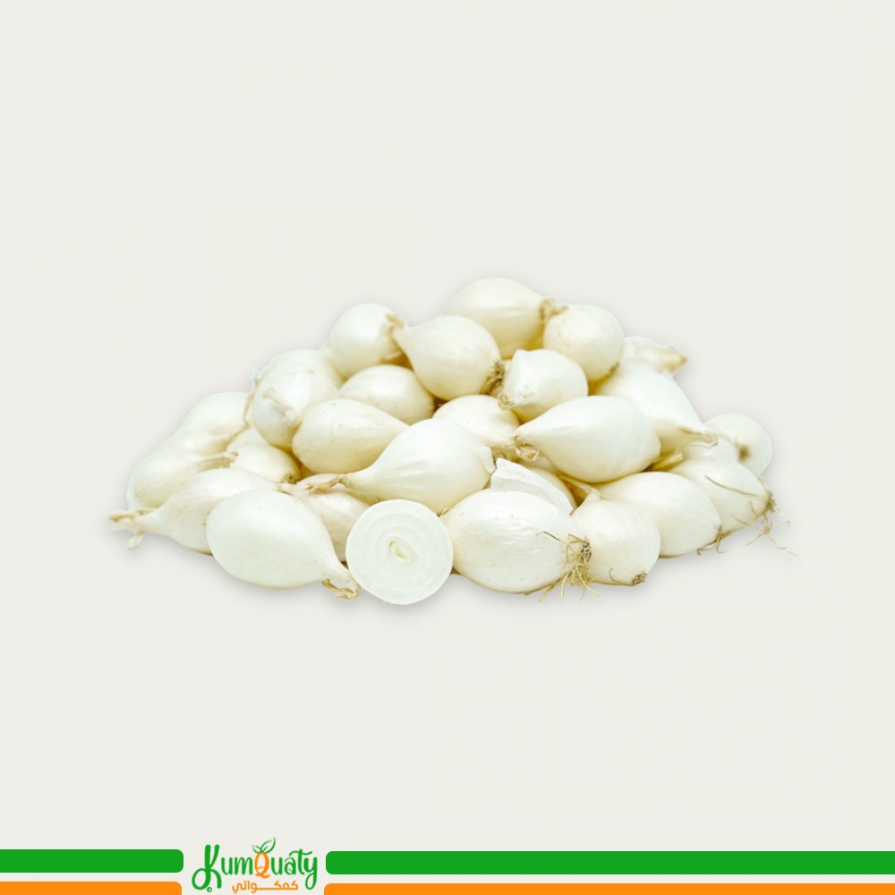 بصل ابيض بيبي