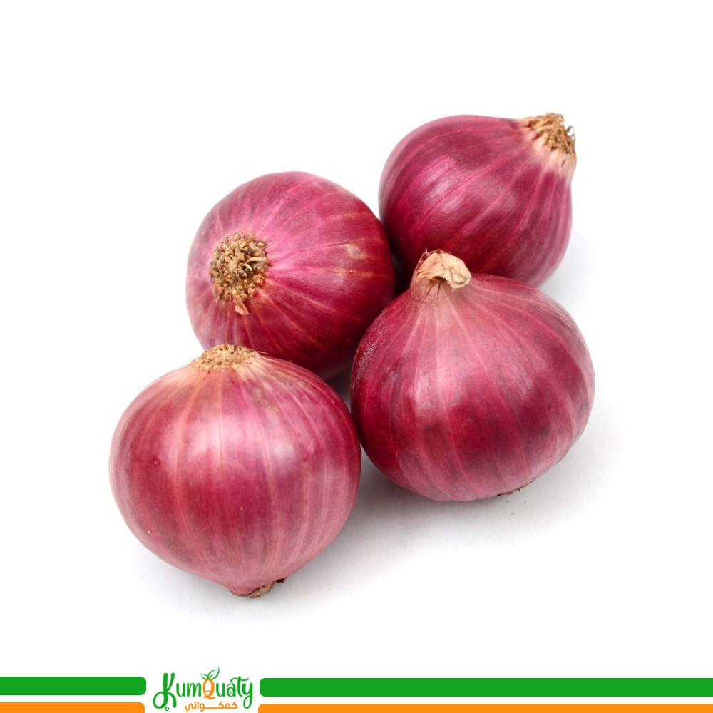 بصل احمر يمني