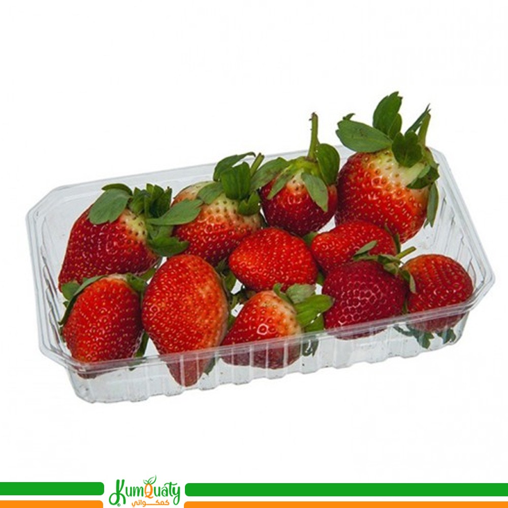 فراولة مصري علبة