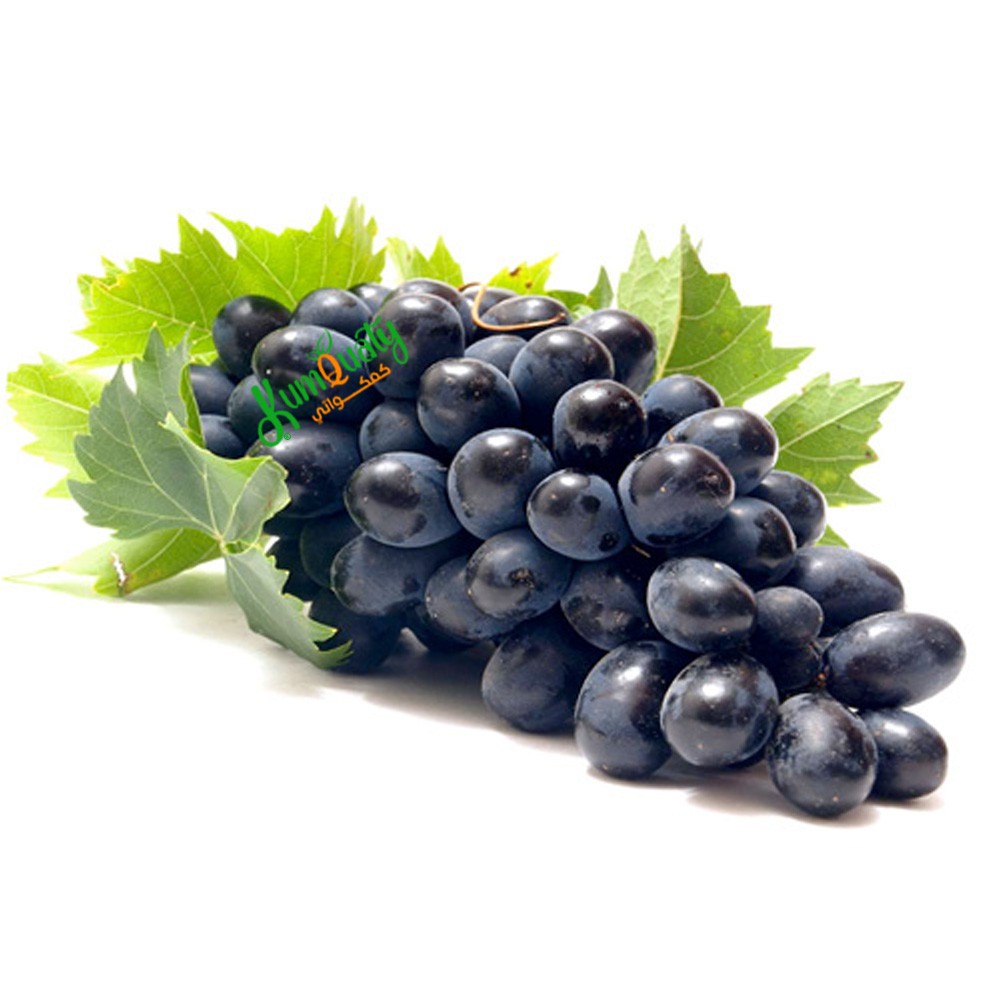 عنب اسود مستورد كيلو