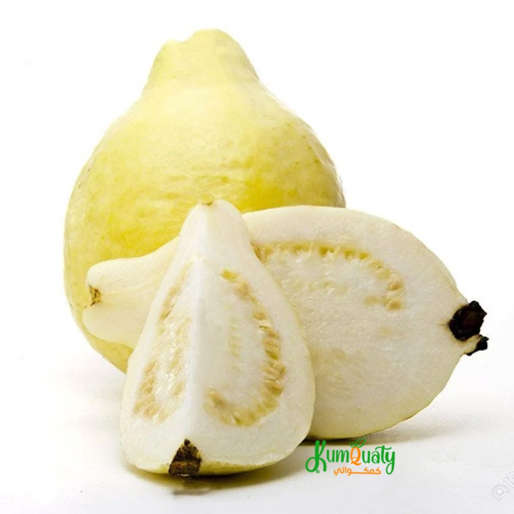 جوافة صفراء