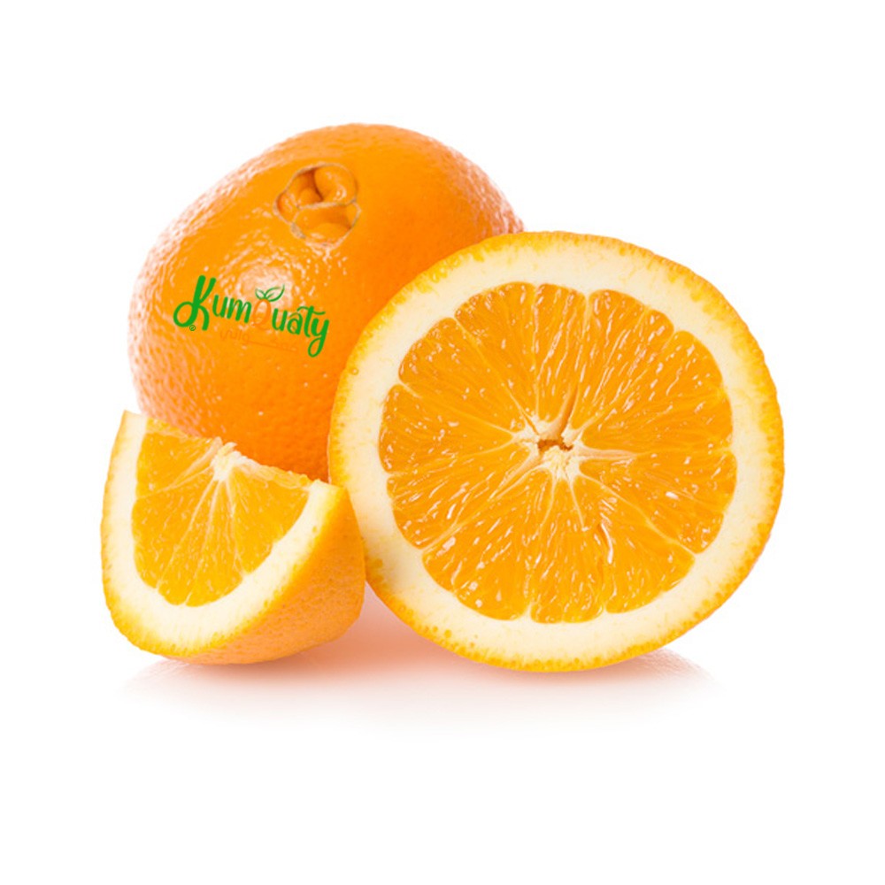 برتقال صره ( اكل ) كرتون