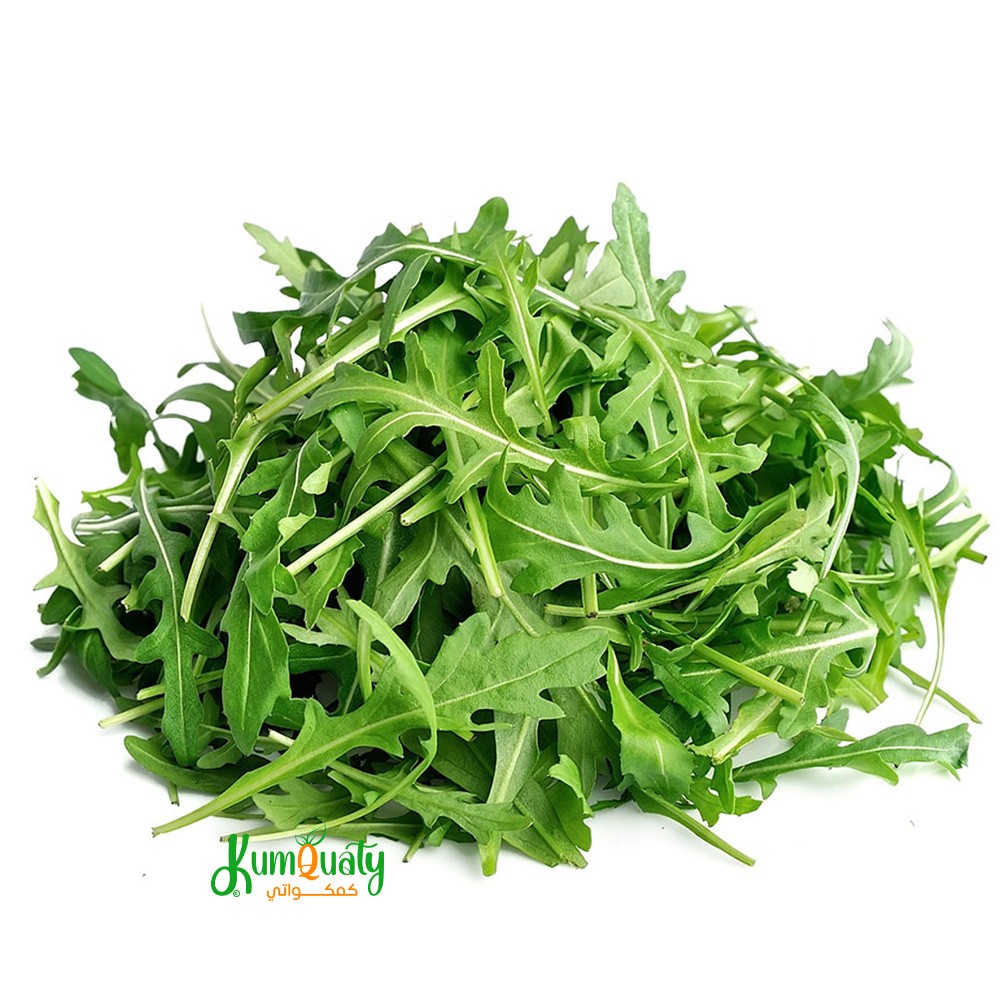 جرجير بيبي علبة