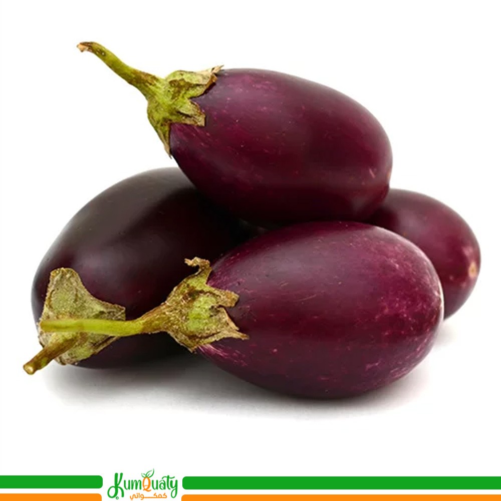 باذنجان صغير