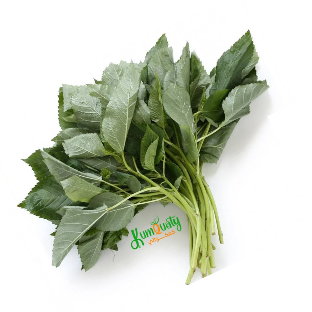 ملوخية خضراء