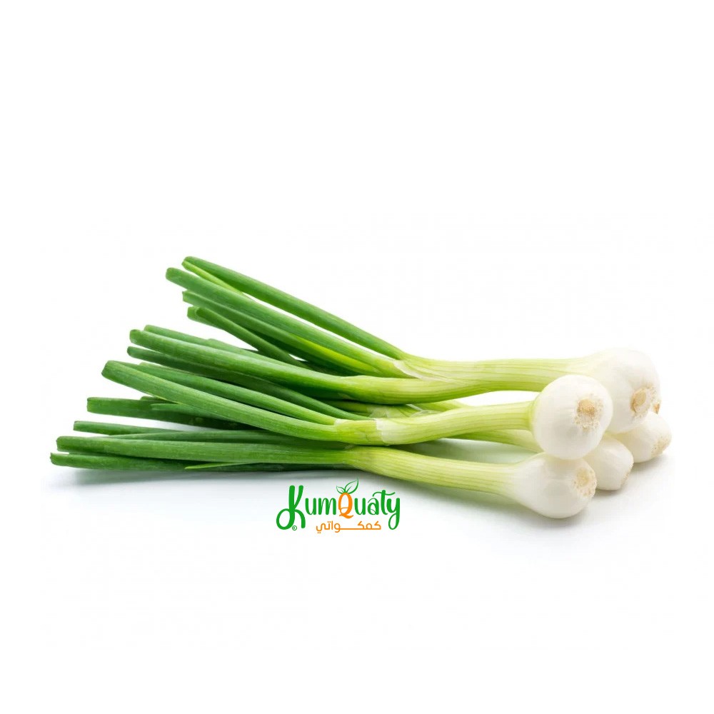 بصل اخضر طويل